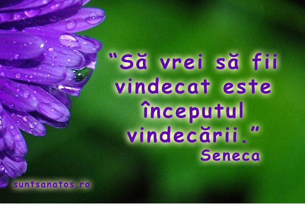 Seneca